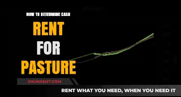 Setting Fair Cash Rent for Pasture: A Practical Guide