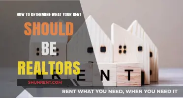 Realtors' Guide: Setting the Right Rent for Your Property