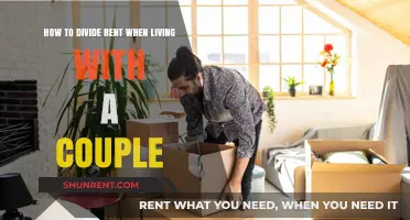 Fair Rent Division: Tips for Living with a Couple Harmoniously