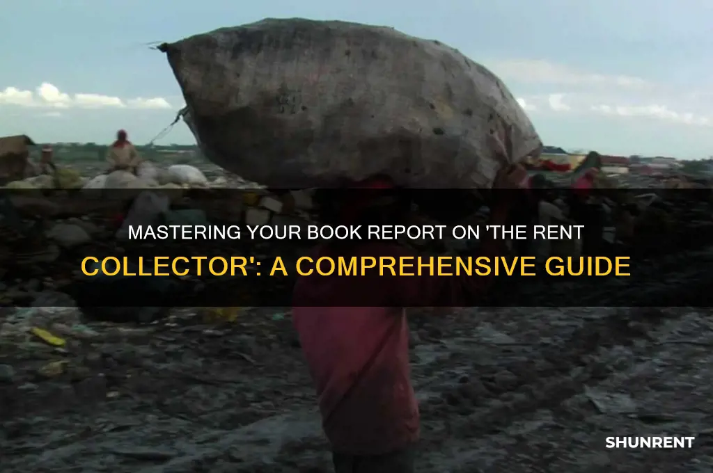 how to do a book report on the rent collector