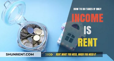 Navigating Tax Filing for Rental Income Only: A Comprehensive Guide