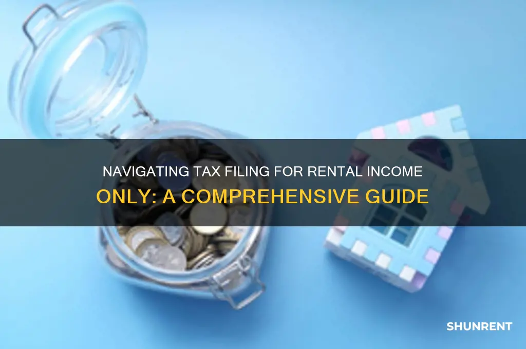 how to do taxes if only income is rent