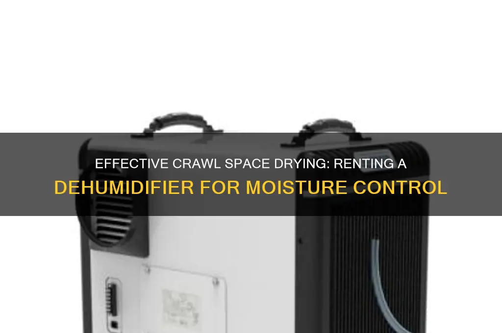 how to dry out crawl space using a rented dehumidifier