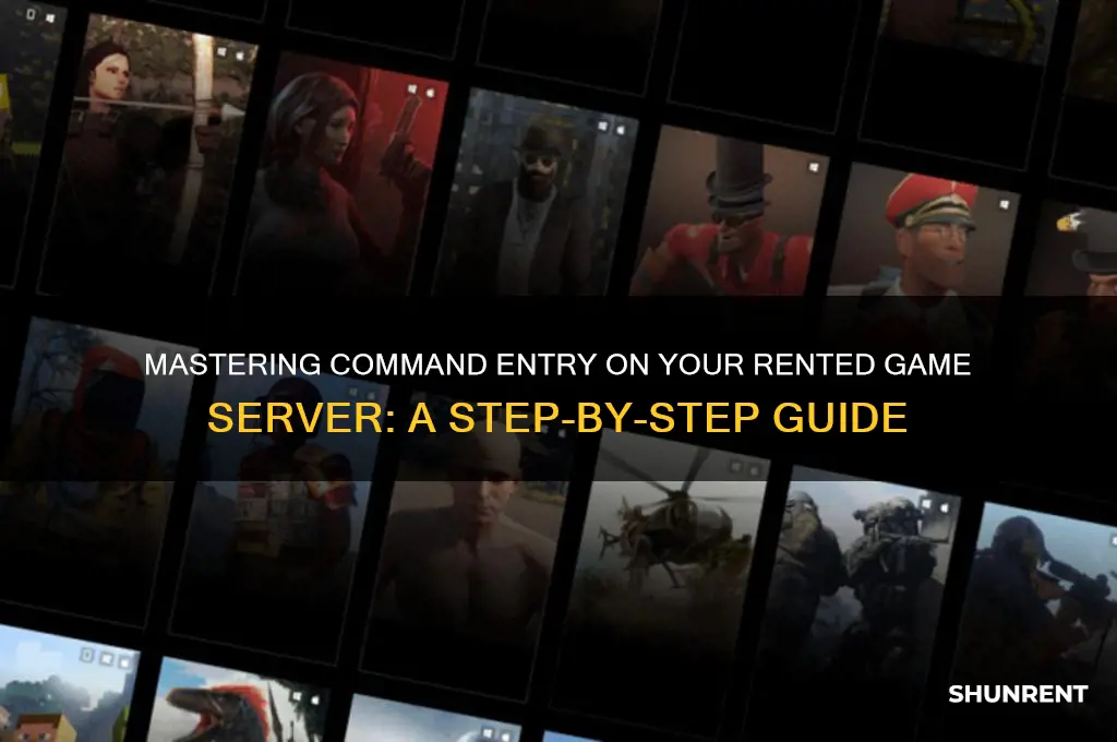 how to enter commands through rented game server