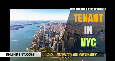 Evicting Rent-Stabilized Tenants in NYC: Legal Steps and Requirements