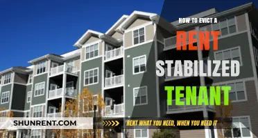 Evicting Rent-Stabilized Tenants: Legal Steps and Landlord Responsibilities
