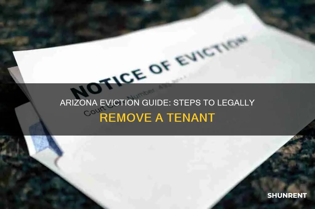 how to evict a renter in arizona