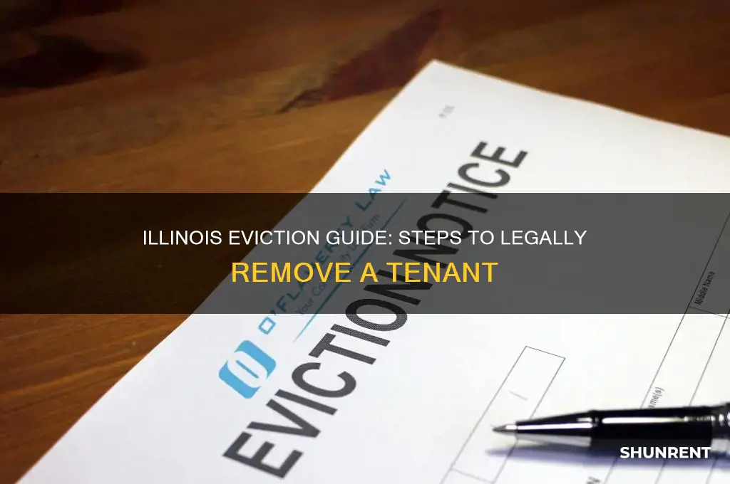 how to evict a renter in illinois