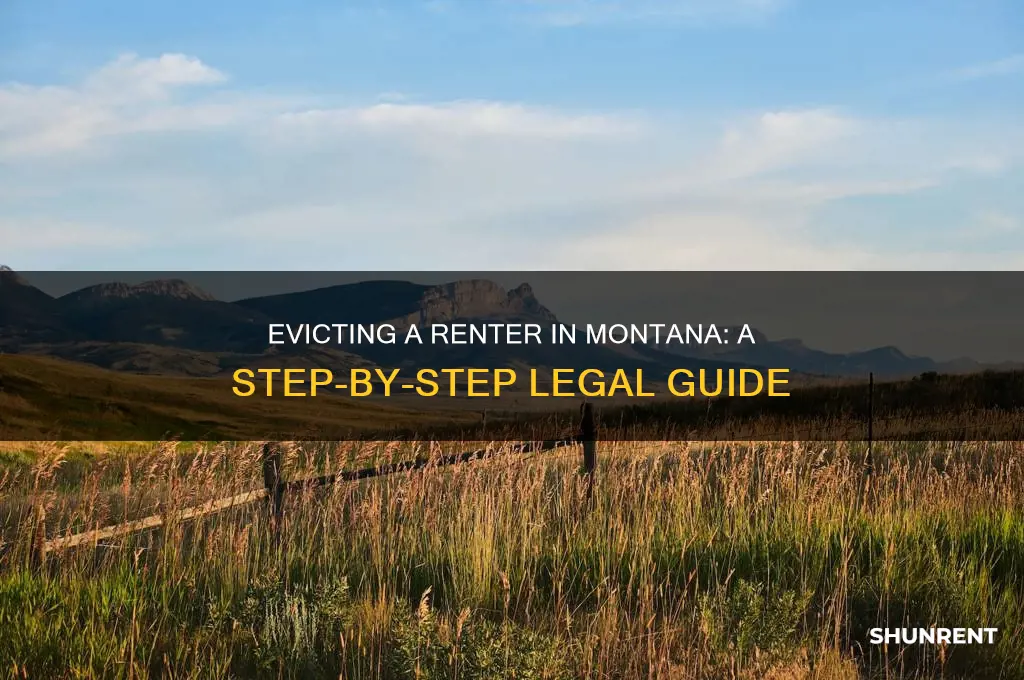 how to evict a renter in montana