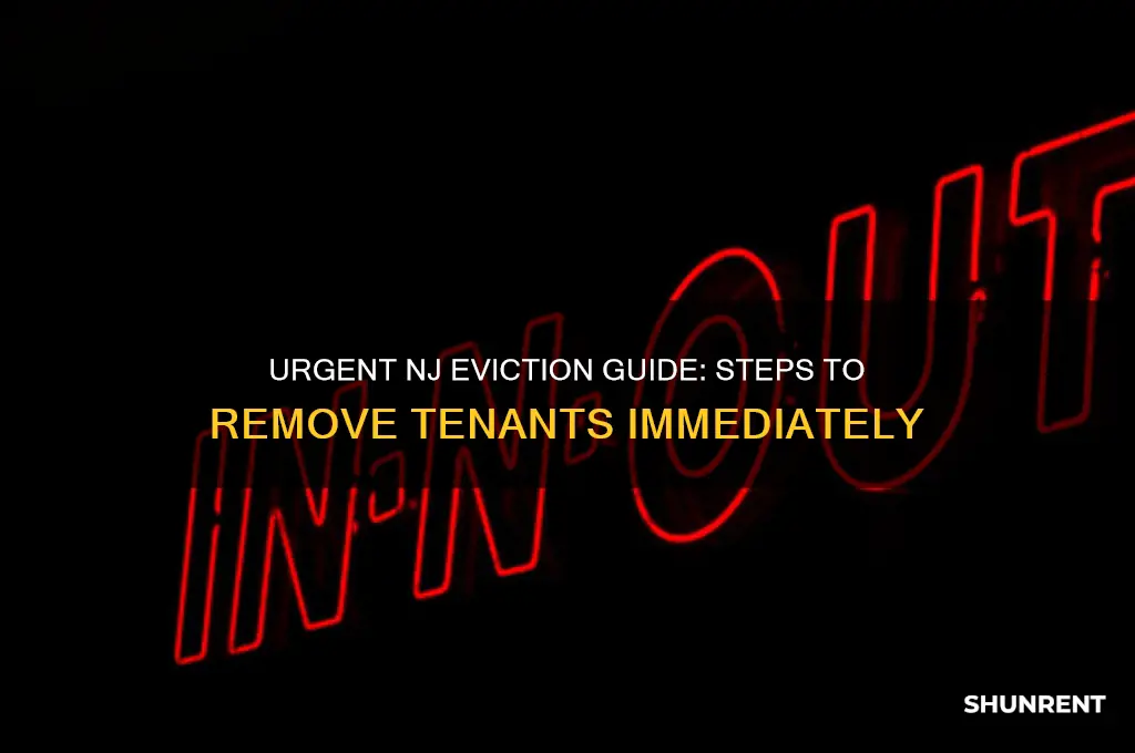 how to evict a renter in nj immediately