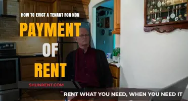Evicting Tenants for Non-Payment: A Step-by-Step Legal Guide
