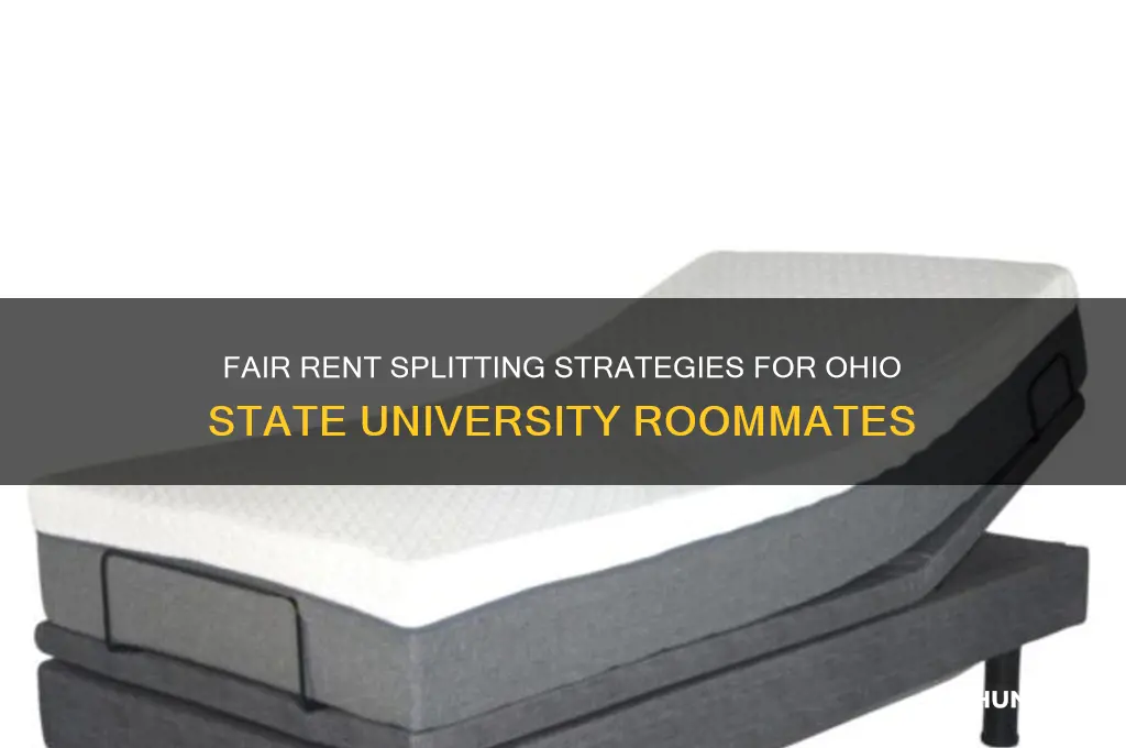 how to fairly split rent ohio state university
