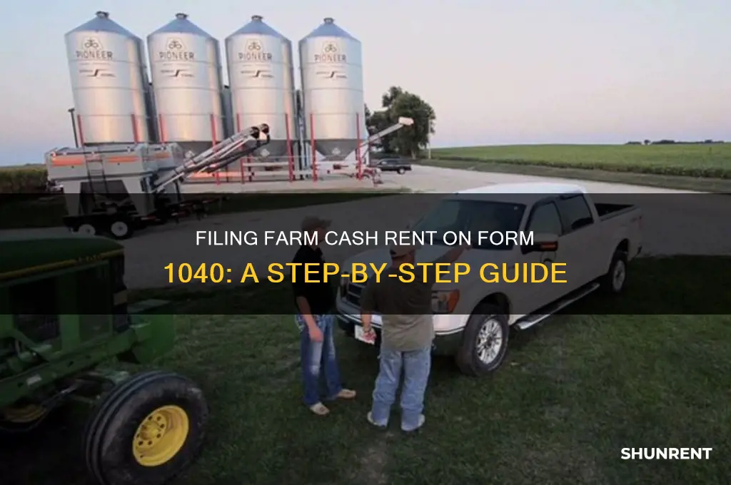 how to file farm cash rent form 1040
