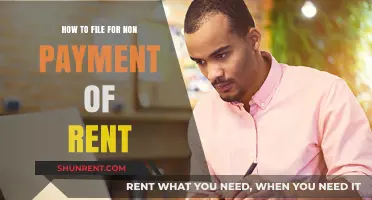 How to File for Non-Payment of Rent: A Step-by-Step Guide