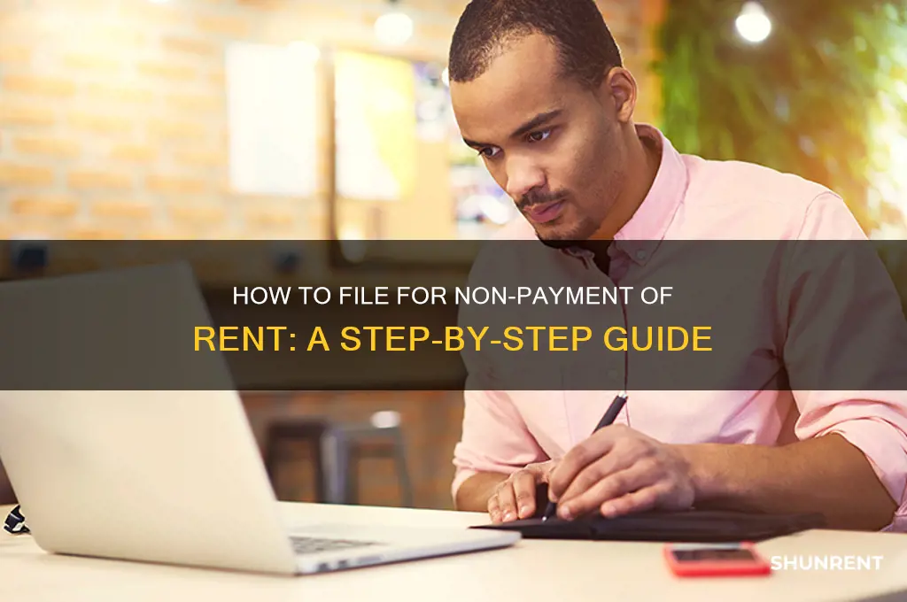 how to file for non payment of rent