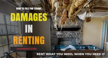 Filing for Tenant Damages: A Step-by-Step Guide for Landlords