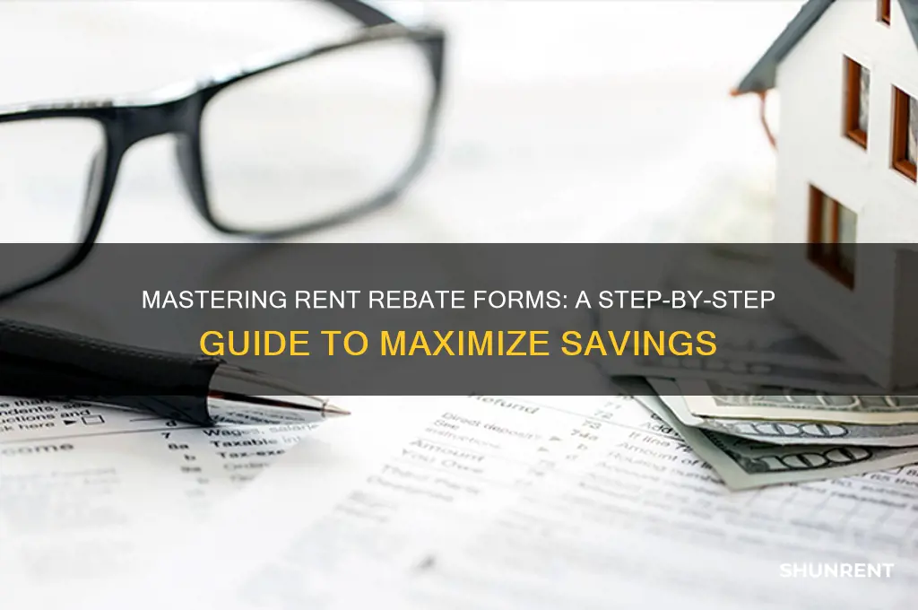 how to fill out a rent rebate form