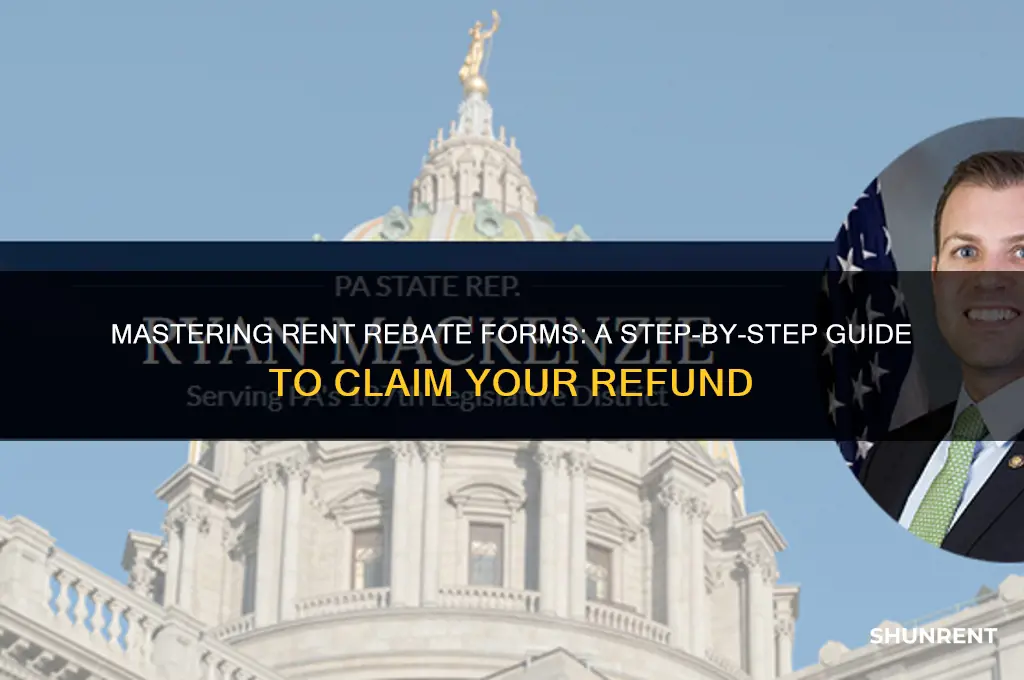 how to fill out rent rebate form