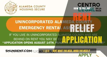 Step-by-Step Guide to Completing Your Rent Relief Application Successfully