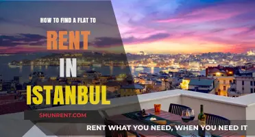 Discover Your Perfect Istanbul Rental: A Comprehensive Flat-Hunting Guide