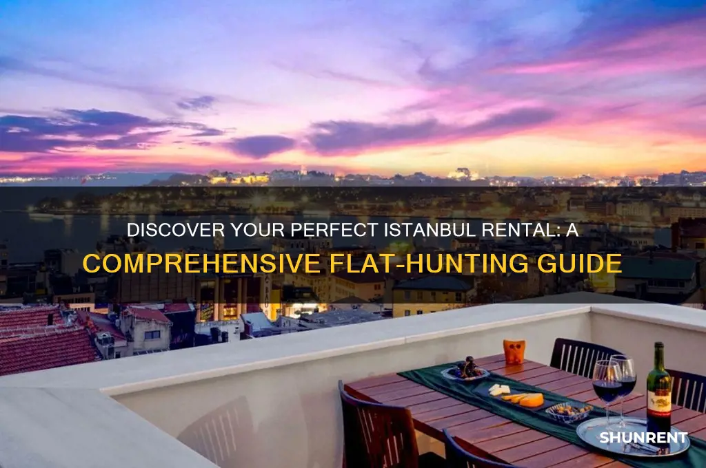 how to find a flat to rent in istanbul