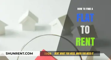 Finding Your Perfect Rental: A Step-by-Step Guide to Securing a Flat