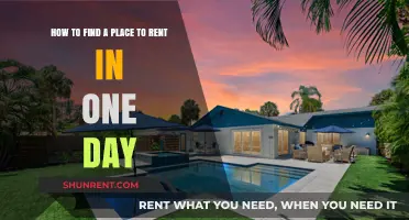 Quick Rental Guide: Find Your Perfect Place in Just One Day