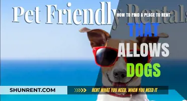 Finding Dog-Friendly Rentals: Tips for Pet Owners to Secure a Home