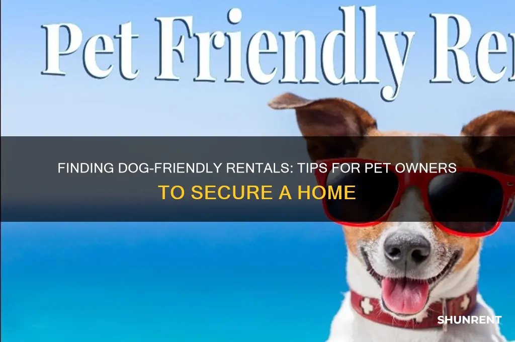 how to find a place to rent that allows dogs