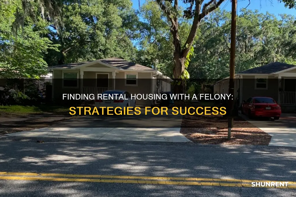 how to find a place to rent with a felony