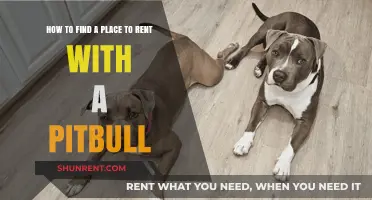Renting with a Pitbull: Tips to Find a Pet-Friendly Home