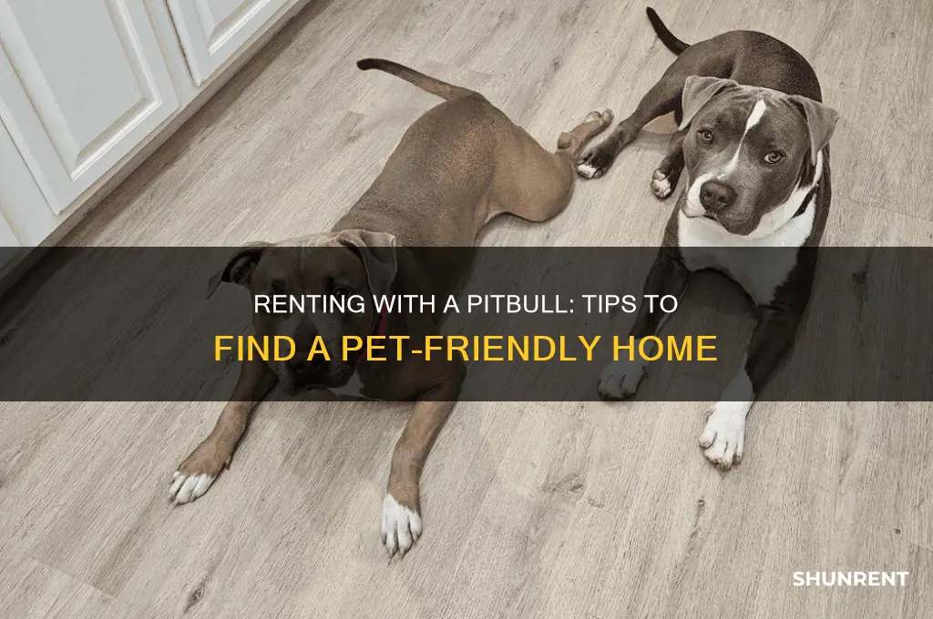 how to find a place to rent with a pitbull