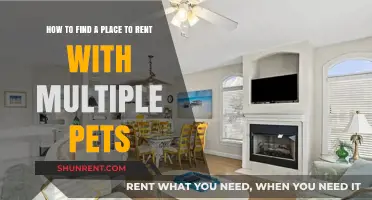Pet-Friendly Rentals: Tips for Finding a Home with Multiple Pets