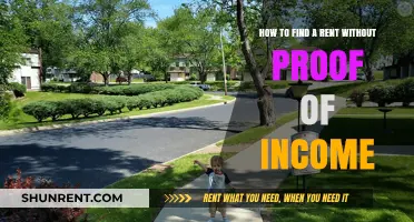 Renting Without Proof of Income: Strategies to Secure Your Lease