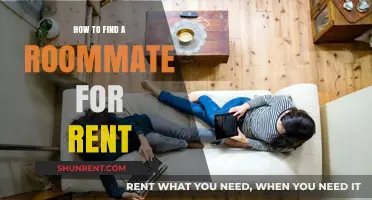 Finding the Perfect Roommate: Tips for a Stress-Free Renting Experience