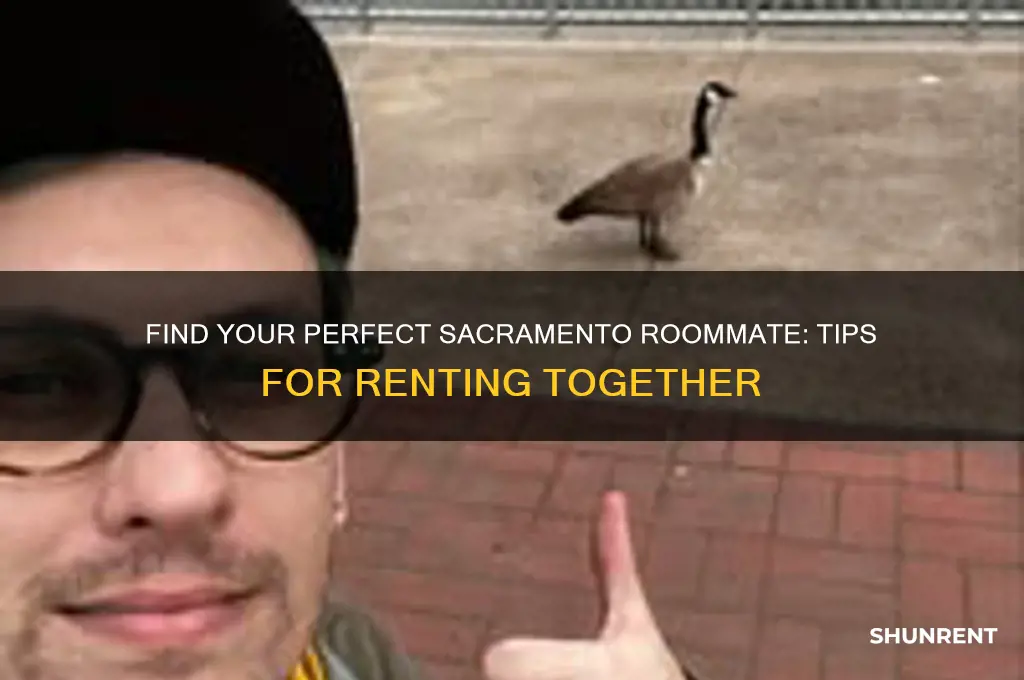 how to find a roommate to rent in sacramento