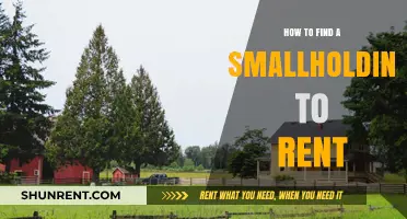Finding Your Dream Smallholding: Tips for Renting Rural Retreats
