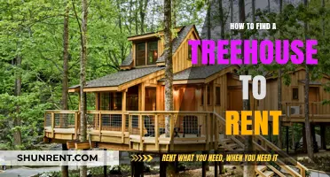 Discover Unique Treehouse Rentals: Tips for Your Next Elevated Escape