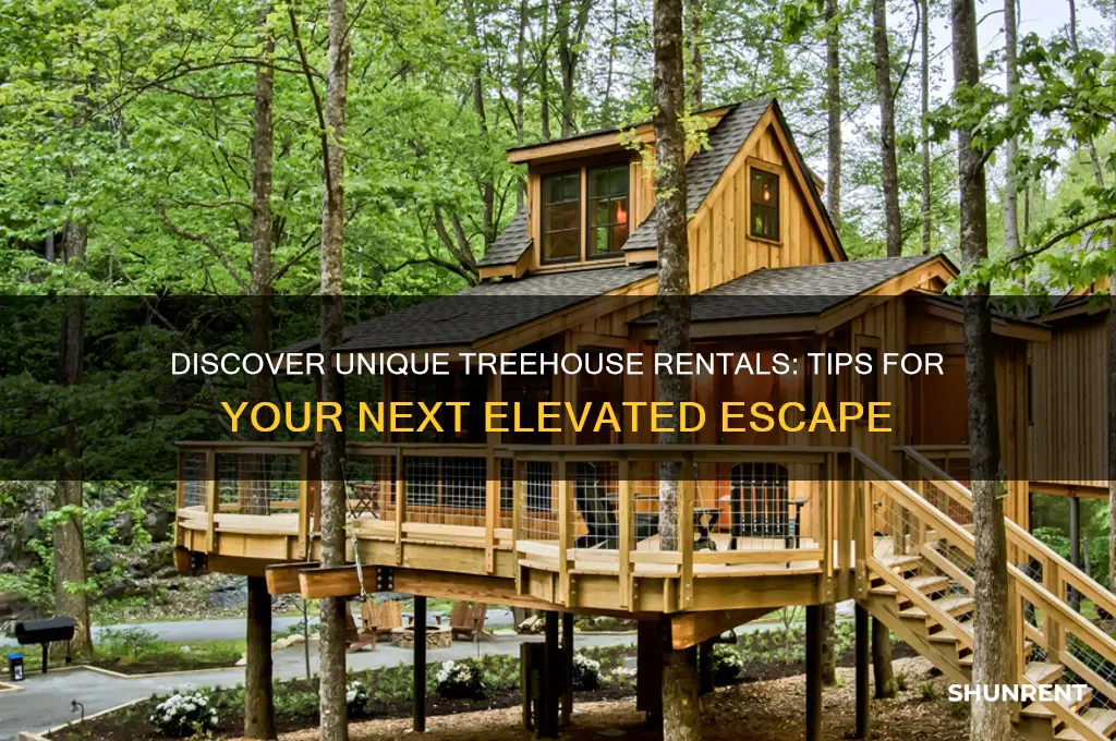 how to find a treehouse to rent