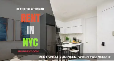Unlocking NYC's Hidden Gems: Affordable Rent Strategies for Savvy Seekers