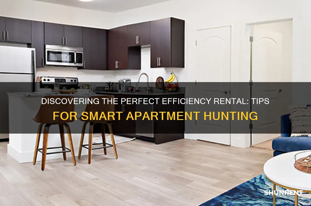 how to find an efficiency to rent