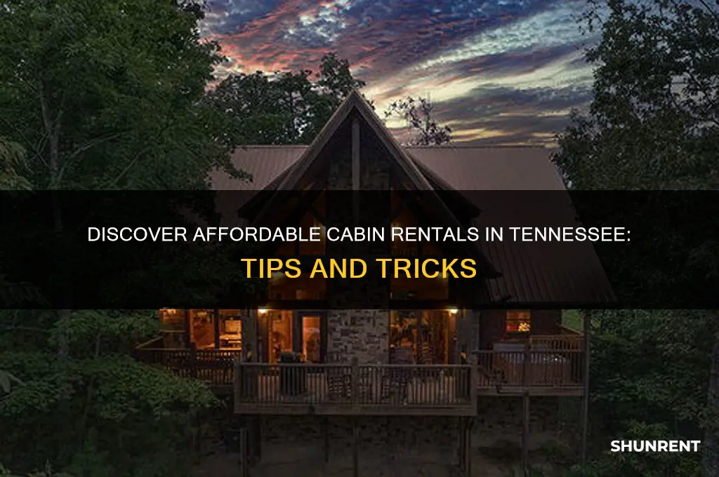 how to find cabin rent in tennessee