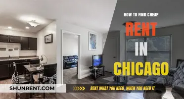 Discover Affordable Chicago Rentals: Smart Tips for Budget-Friendly Living