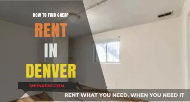 Discover Affordable Denver Rentals: Smart Tips for Budget-Friendly Living
