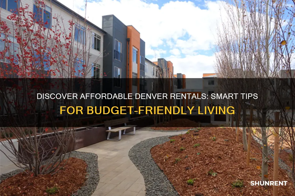 how to find cheap rent in denver