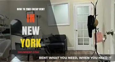 Discover Affordable NYC Rentals: Smart Tips for Cheap Rent in New York