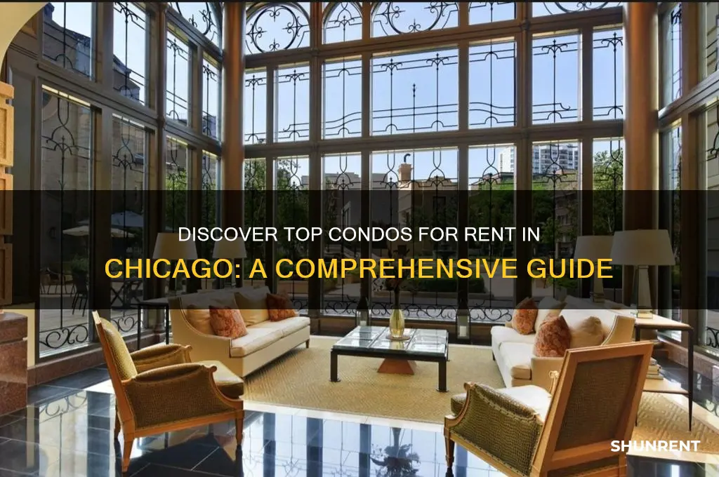 how to find condos for rent in chicago
