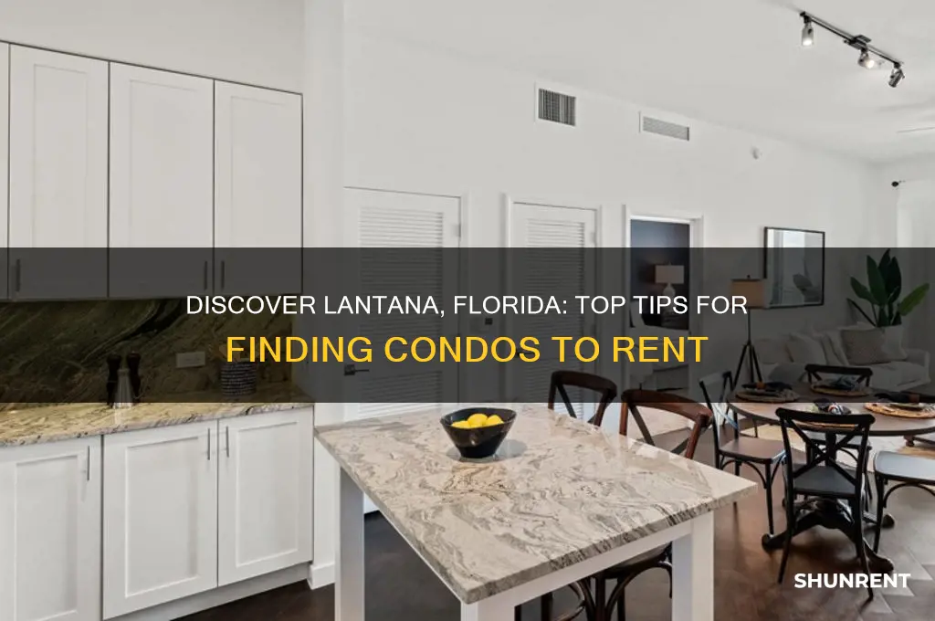 how to find condos to rent in florida travel lantana
