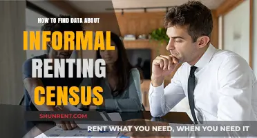 Finding Informal Renting Data: A Guide to Census Resources
