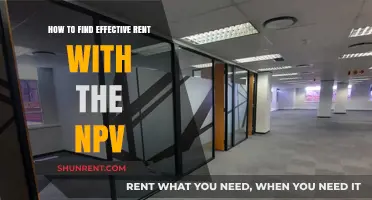 Maximizing Rental Income: Using NPV to Determine Effective Rent